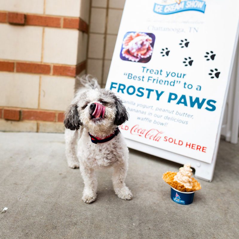 A dog standing next to a sign that says " frosty paws ".